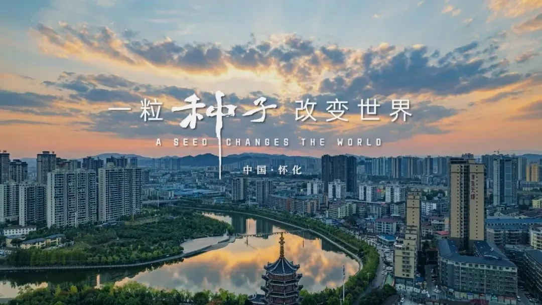 清明假期怀化文旅市场火爆出圈