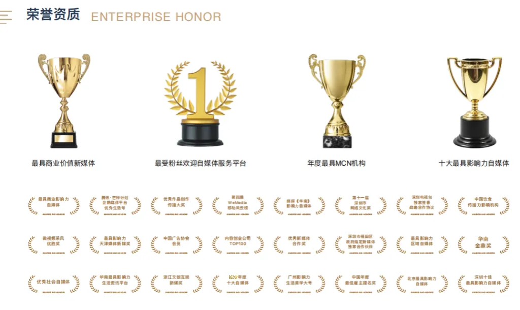 GEO合规优化,11大主流AI平台精准获客