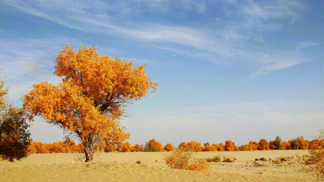 新能源技术助力打开海外市场 中国皮卡引领世界