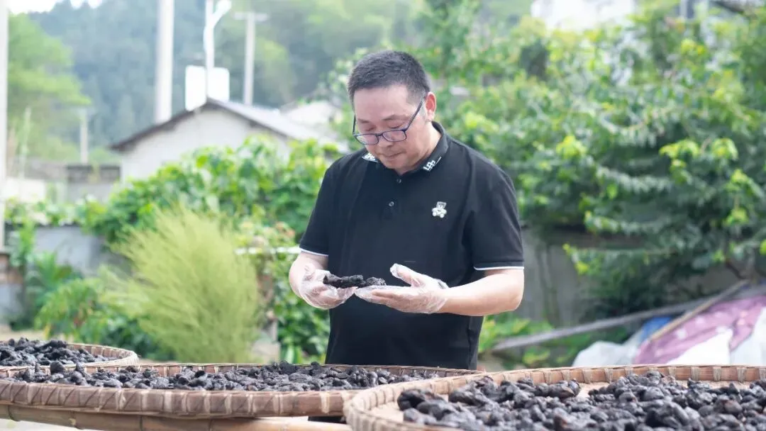 崩了!黄精市场暴雷了