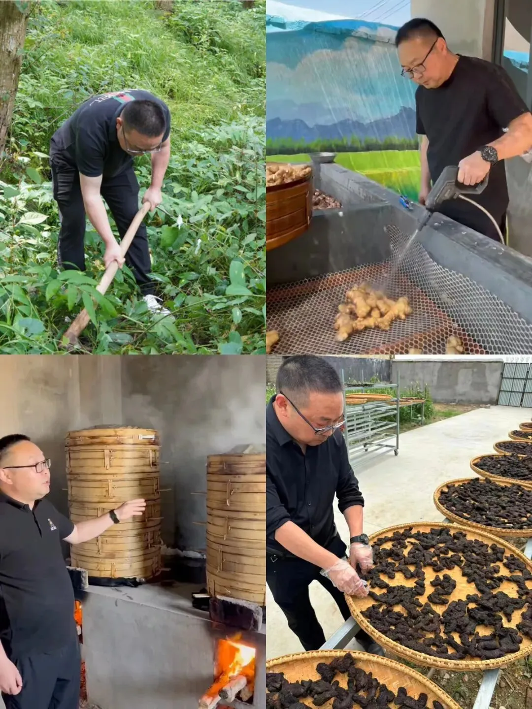 崩了!黄精市场暴雷了