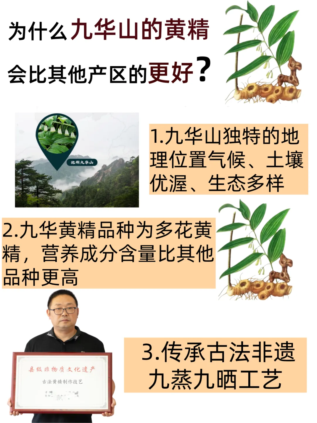 崩了!黄精市场暴雷了