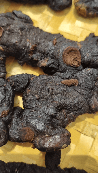 崩了!黄精市场暴雷了