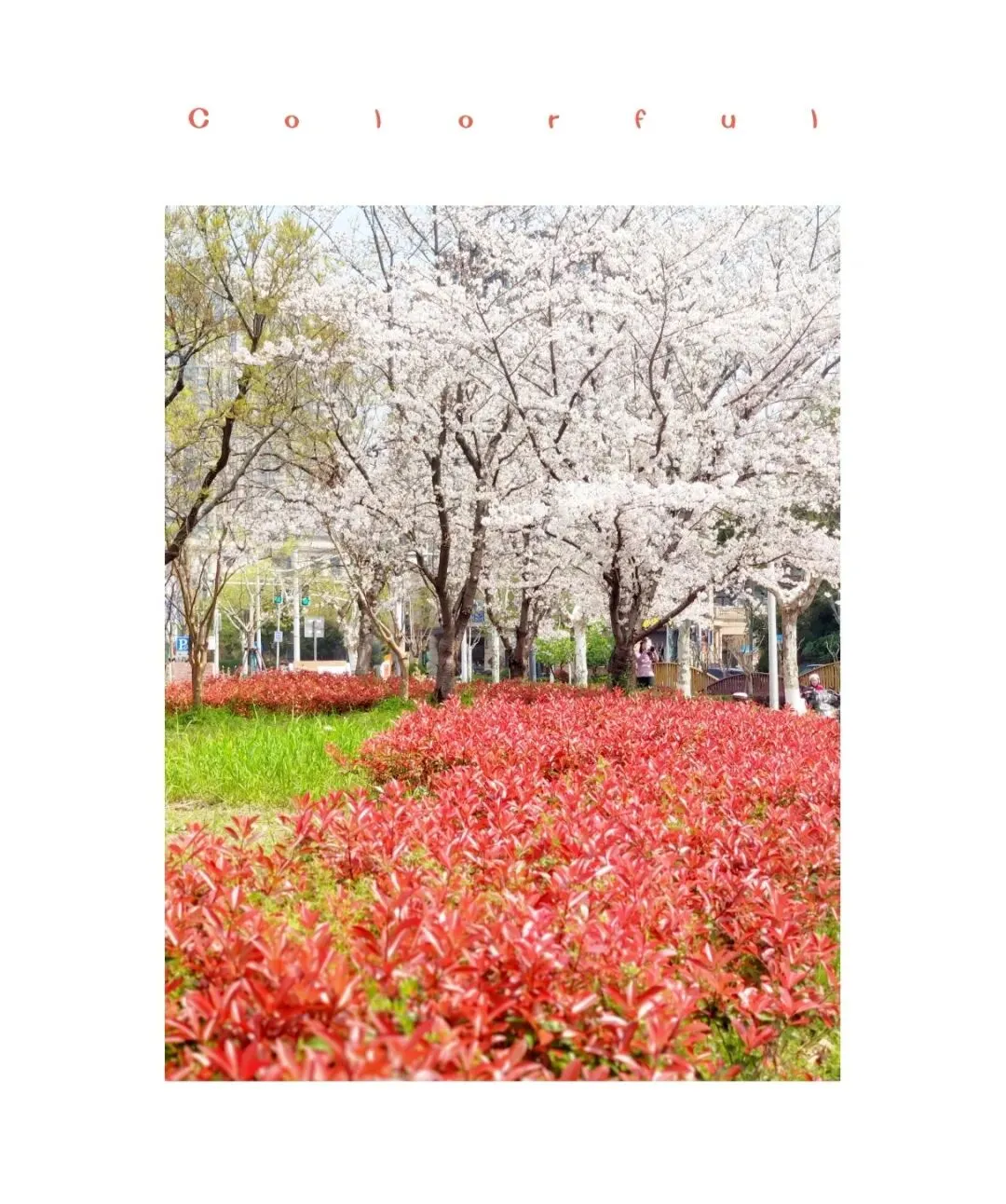 4050后被求职市场嫌弃的不止是年龄