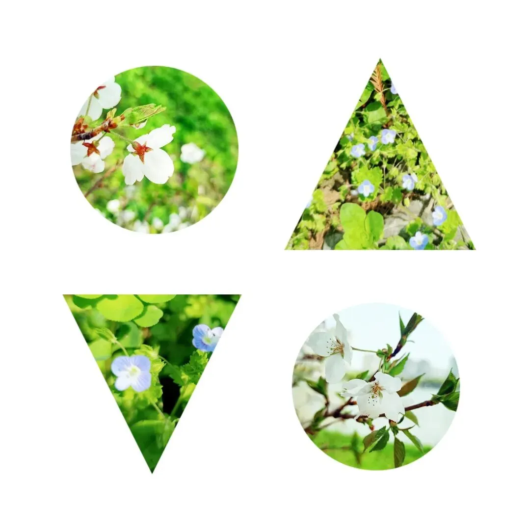 4050后被求职市场嫌弃的不止是年龄