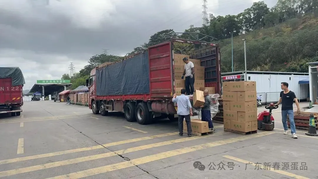 2026年4月6日 东莞信立市场鸡蛋行情