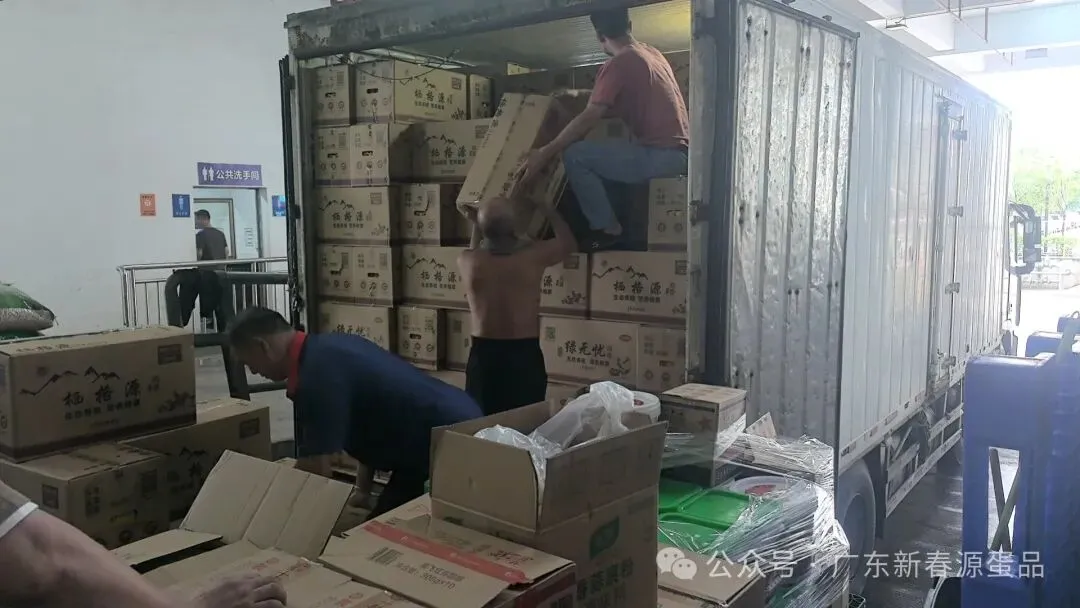 2026年4月6日 东莞信立市场鸡蛋行情