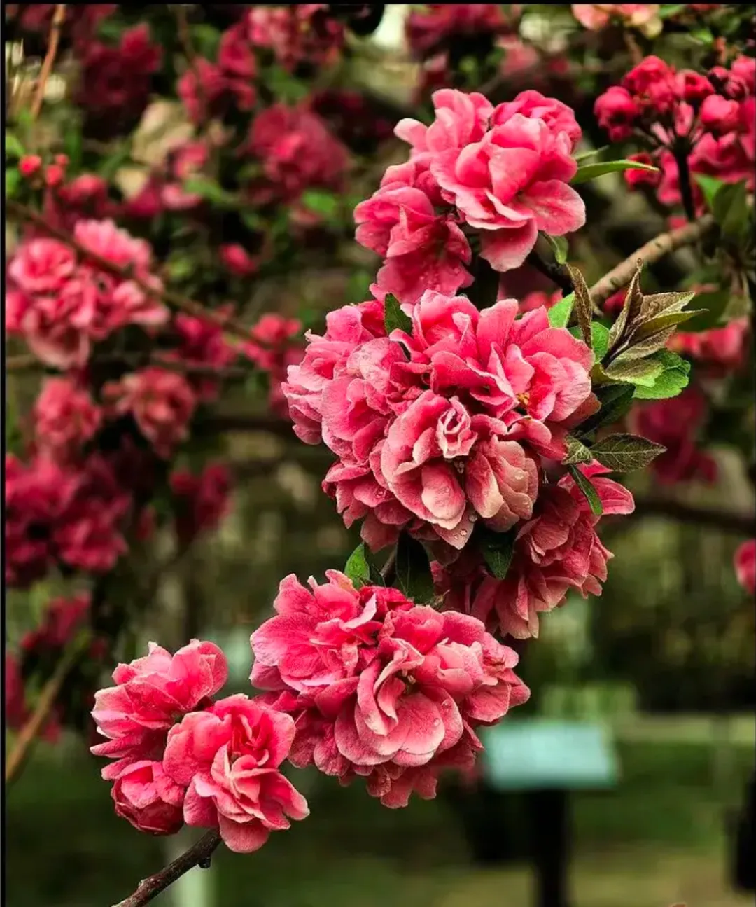 A股市场4月7日会是历史重演,成为重要的一天吗?