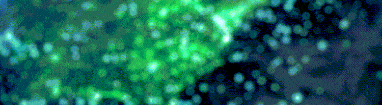 歐美早訊丨美歐市場出現反彈,但市場方向並未明確