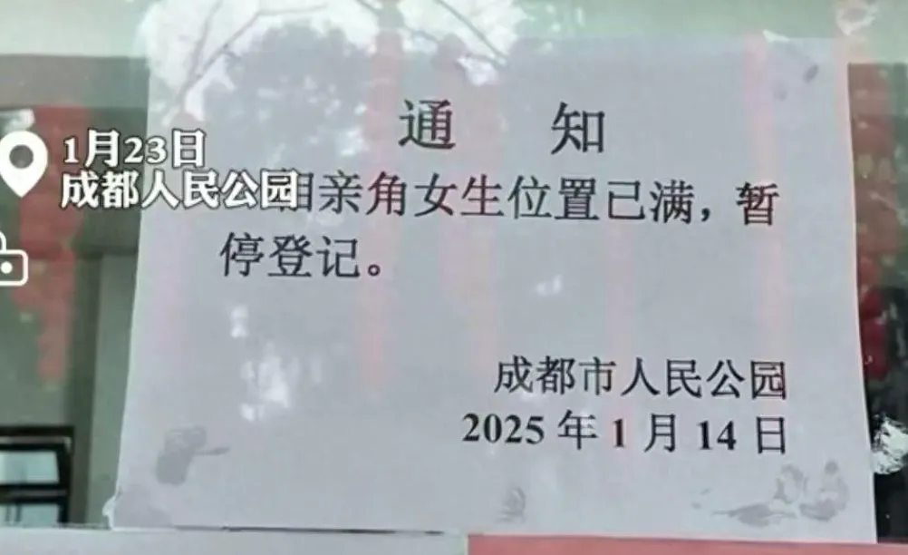 男人集体退出相亲市场,真相令人唏嘘:不是找不到,是不想找了