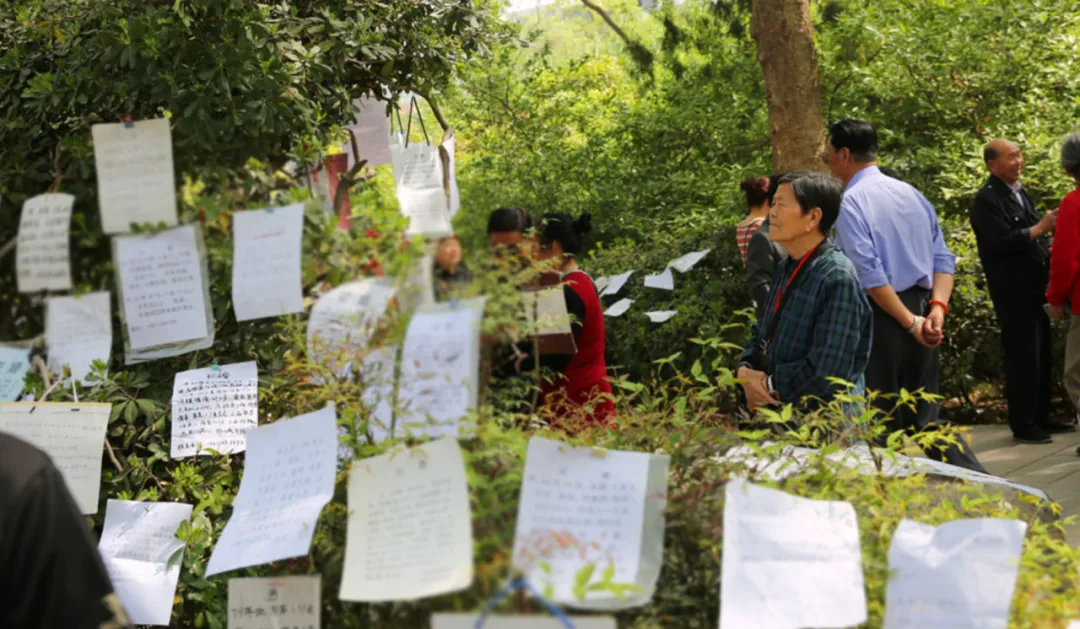 男人集体退出相亲市场,真相令人唏嘘:不是找不到,是不想找了