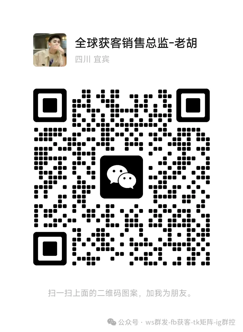 出海获客,揭秘流量新玩法:当精准数据遇上AI视频矩阵,你的获客成本该降了