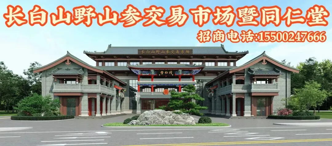 4月6日国家级万良人参市场最新价格