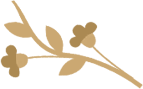 4月6日国家级万良人参市场最新价格