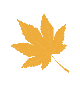 4月6日国家级万良人参市场最新价格