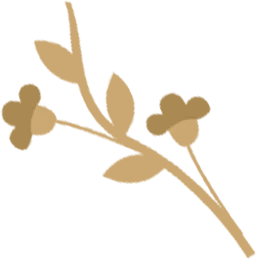 4月6日国家级万良人参市场最新价格