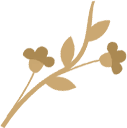 4月6日国家级万良人参市场最新价格