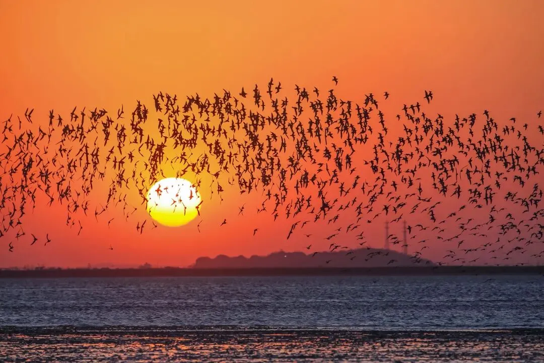 【市场】清明假期,丹东文旅市场实现双位数增长!