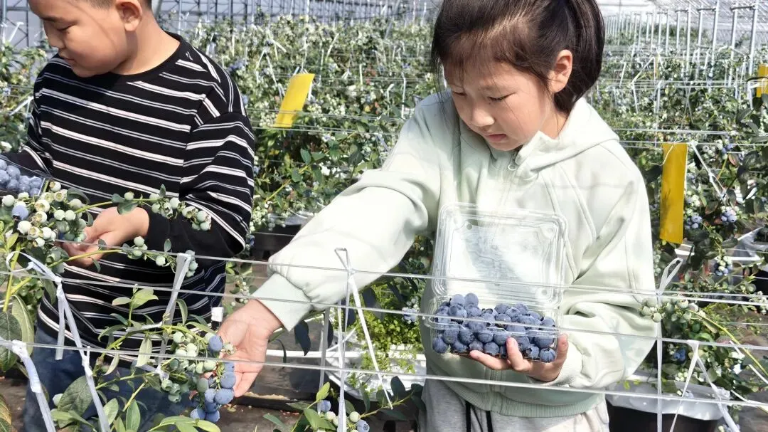 【市场】清明假期,丹东文旅市场实现双位数增长!