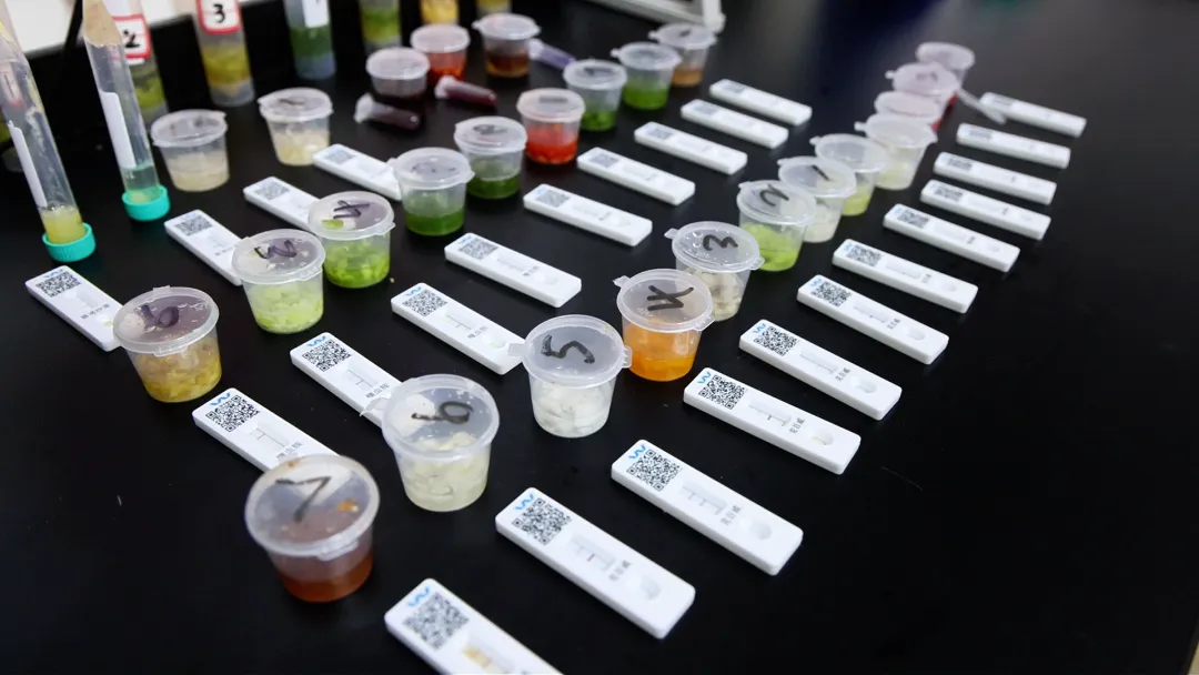 “检测室”搬进农贸市场 安义县打造家门口的“安心站”