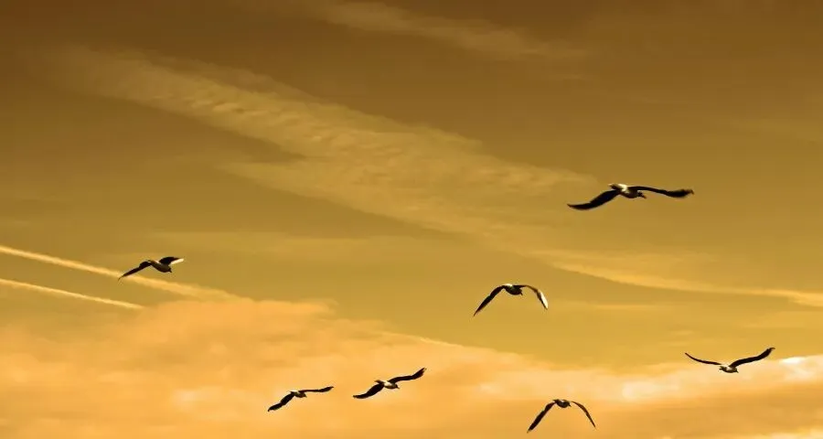 一季度家电消费市场亮红灯了