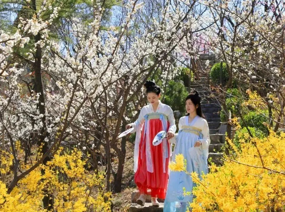 花漾泉城春意浓 假日文旅市场圆满收官