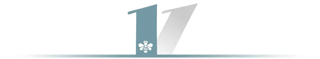 张雪机车封神:普通人靠“笨营销”,也能逆袭