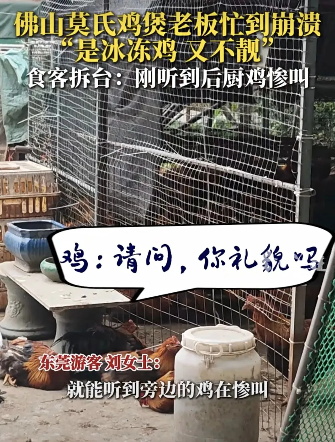 自曝其短的莫氏鸡煲老板,是佛系还是另类营销?