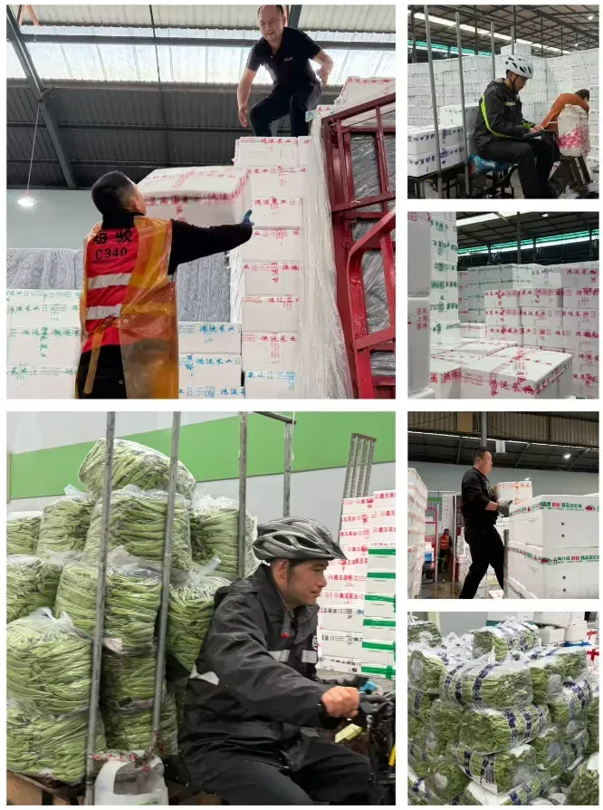 市场:豆王、白菜价格回落,胡萝卜反弹!4月菜价走势如何