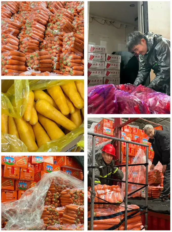 市场:豆王、白菜价格回落,胡萝卜反弹!4月菜价走势如何