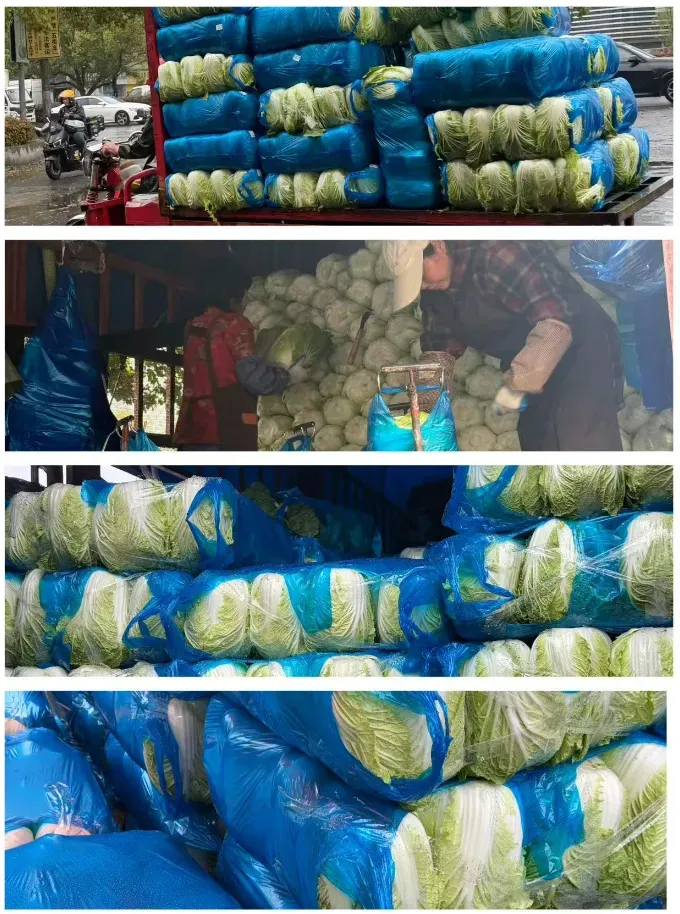 市场:豆王、白菜价格回落,胡萝卜反弹!4月菜价走势如何