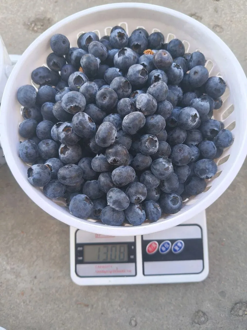 在水果市场打零工的日子:一边打工,一边创业,赚了人生第一“桶“金