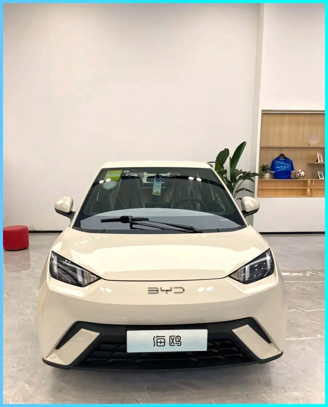 廉价电动车市场崩盘,后来者车企如何自救?