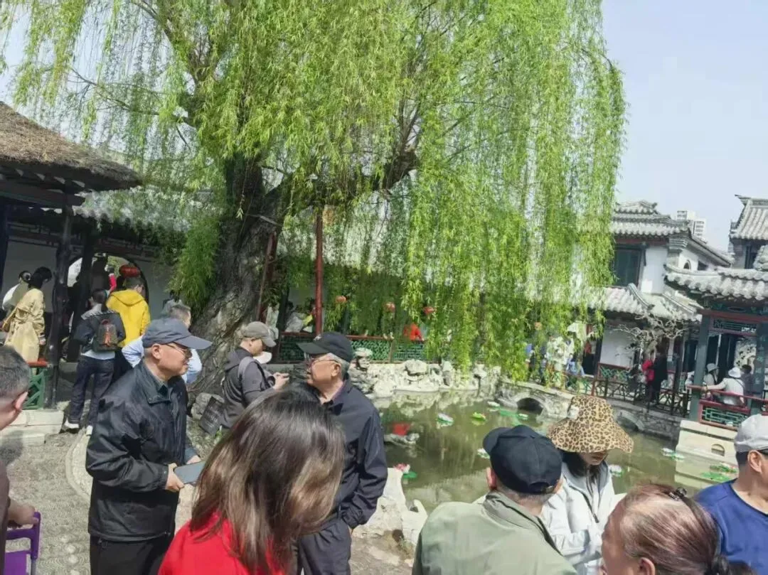 清明假期,潍坊文旅市场火爆��,踏青热潮持续高涨!