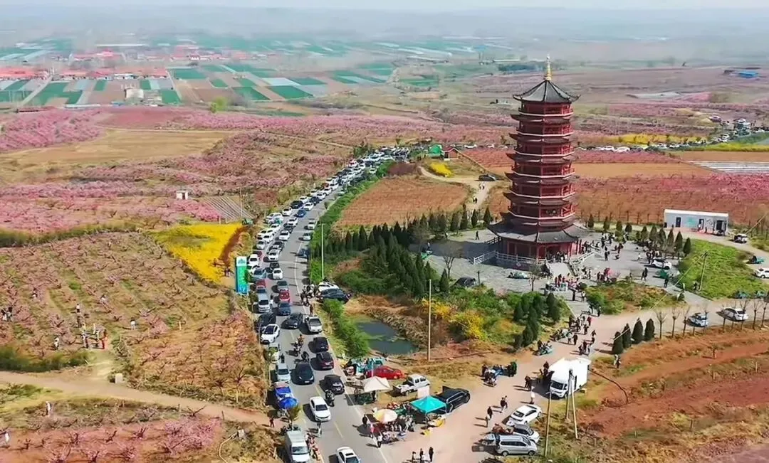 清明假期,潍坊文旅市场火爆��,踏青热潮持续高涨!