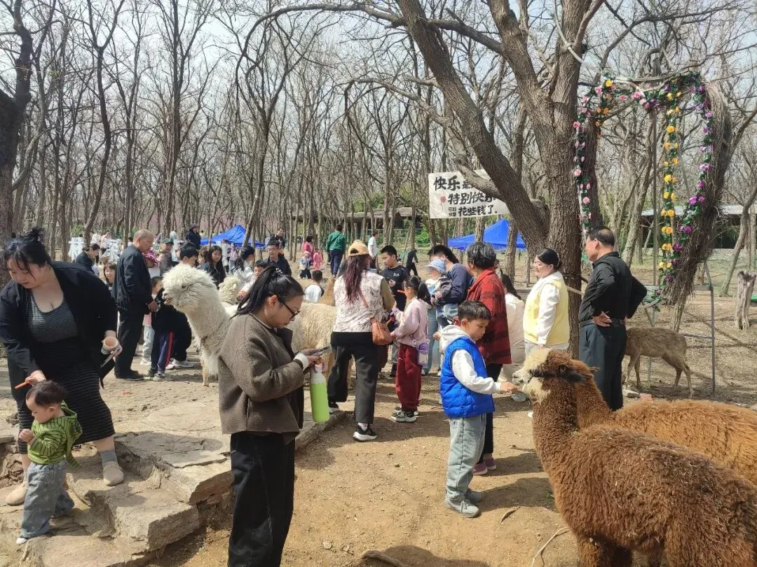 清明假期,潍坊文旅市场火爆��,踏青热潮持续高涨!