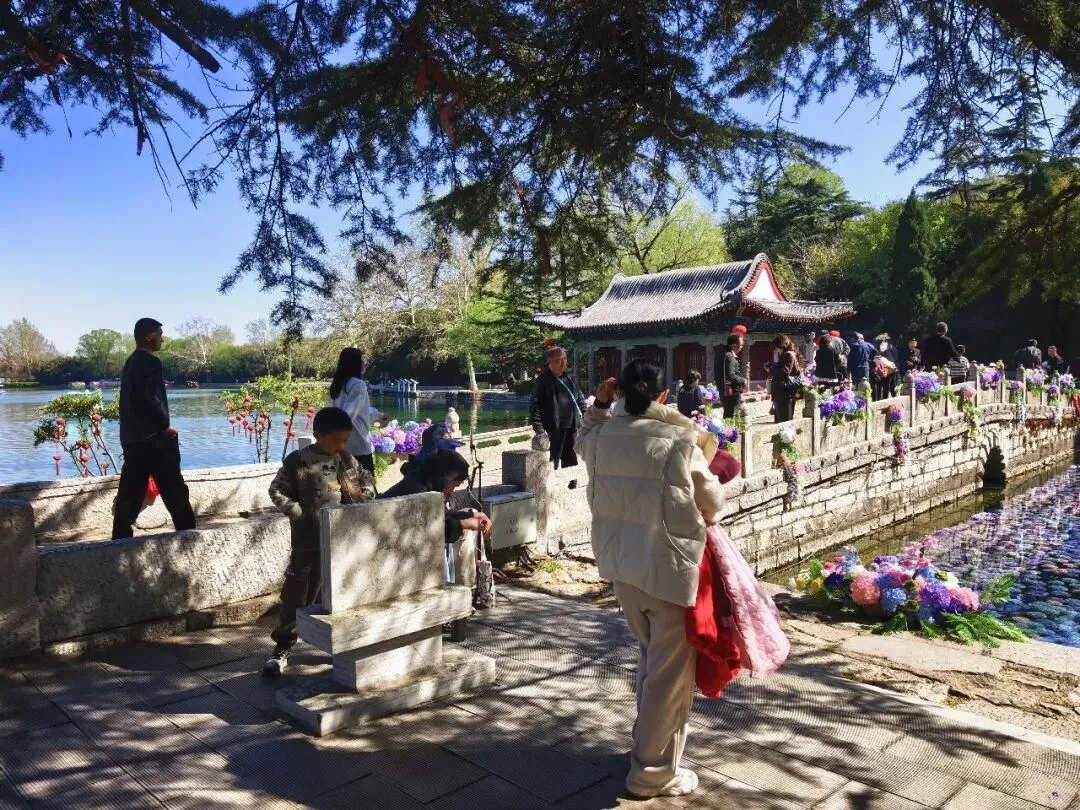 清明假期,潍坊文旅市场火爆��,踏青热潮持续高涨!