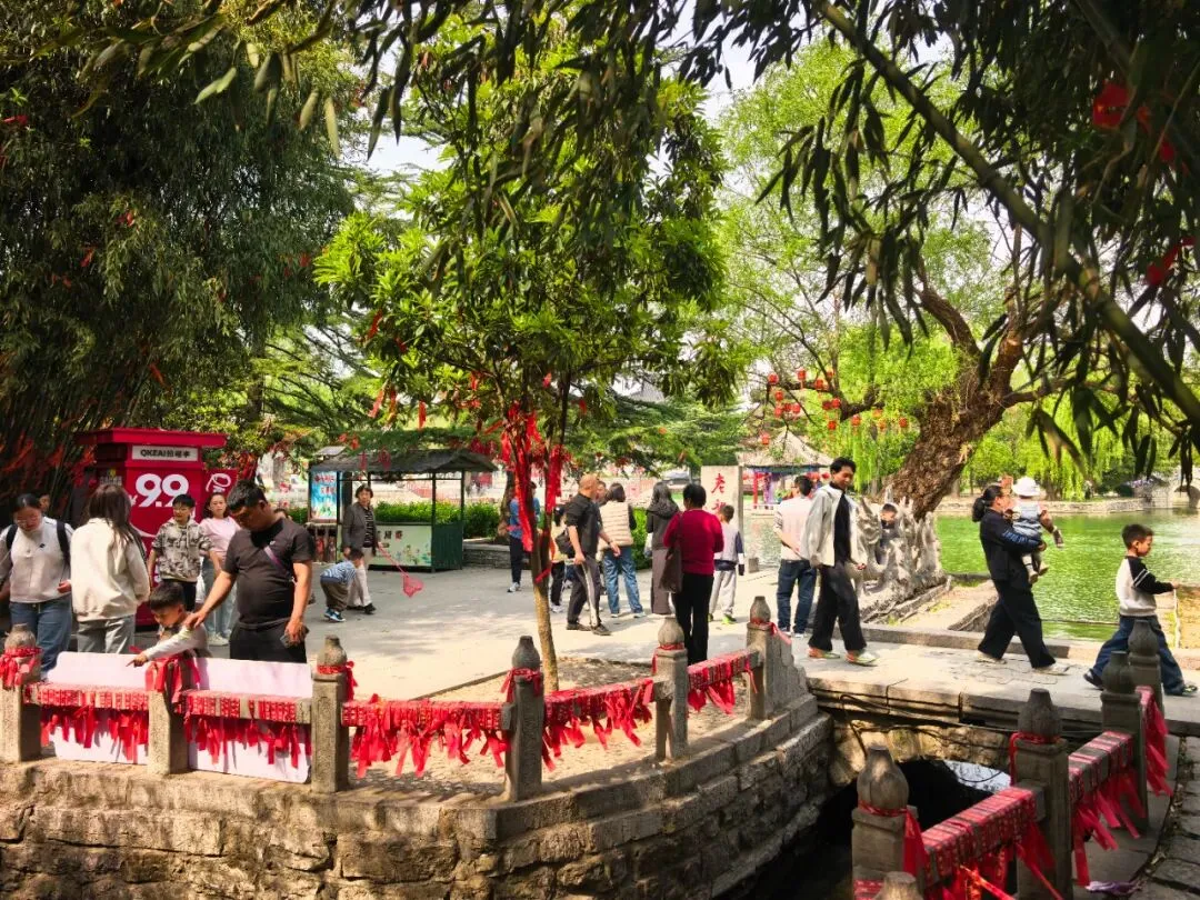 清明假期,潍坊文旅市场火爆��,踏青热潮持续高涨!