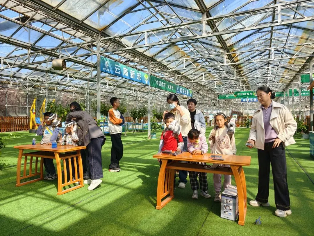 清明假期,潍坊文旅市场火爆��,踏青热潮持续高涨!