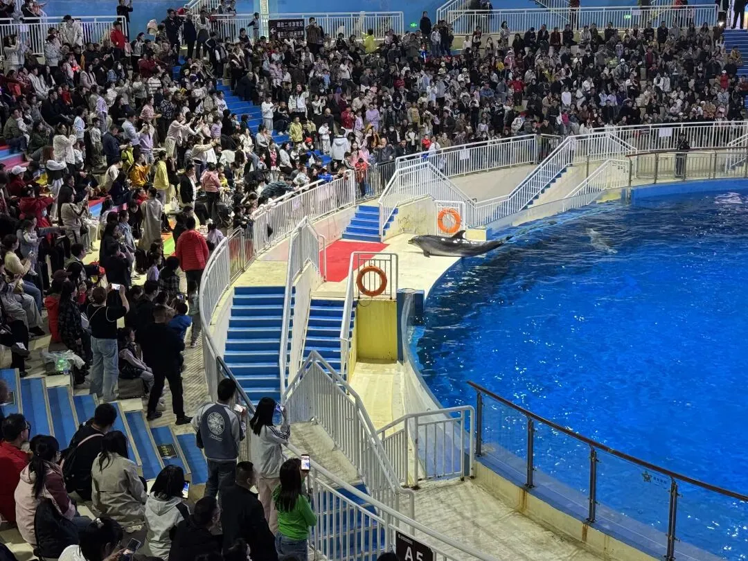 清明假期,潍坊文旅市场火爆��,踏青热潮持续高涨!