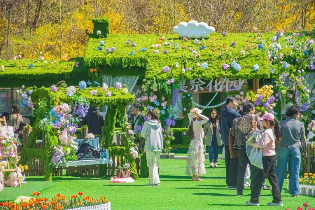 清明假期,潍坊文旅市场火爆��,踏青热潮持续高涨!