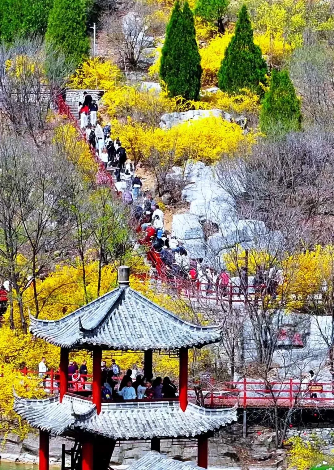 清明假期,潍坊文旅市场火爆��,踏青热潮持续高涨!