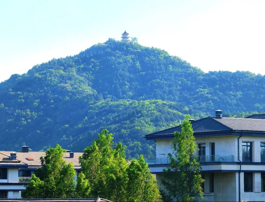 西山壹号院市场报告