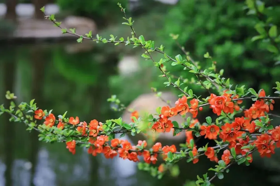 西山壹号院市场报告