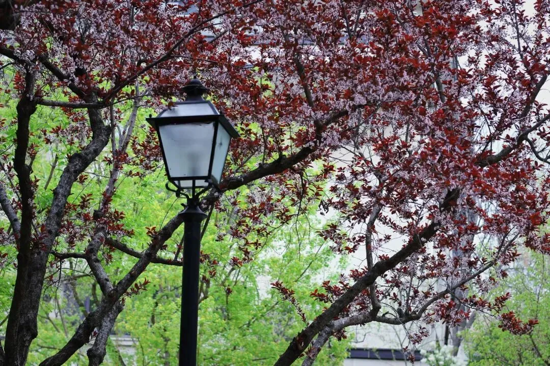 西山壹号院市场报告