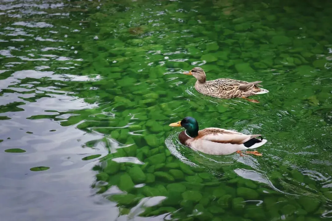 西山壹号院市场报告