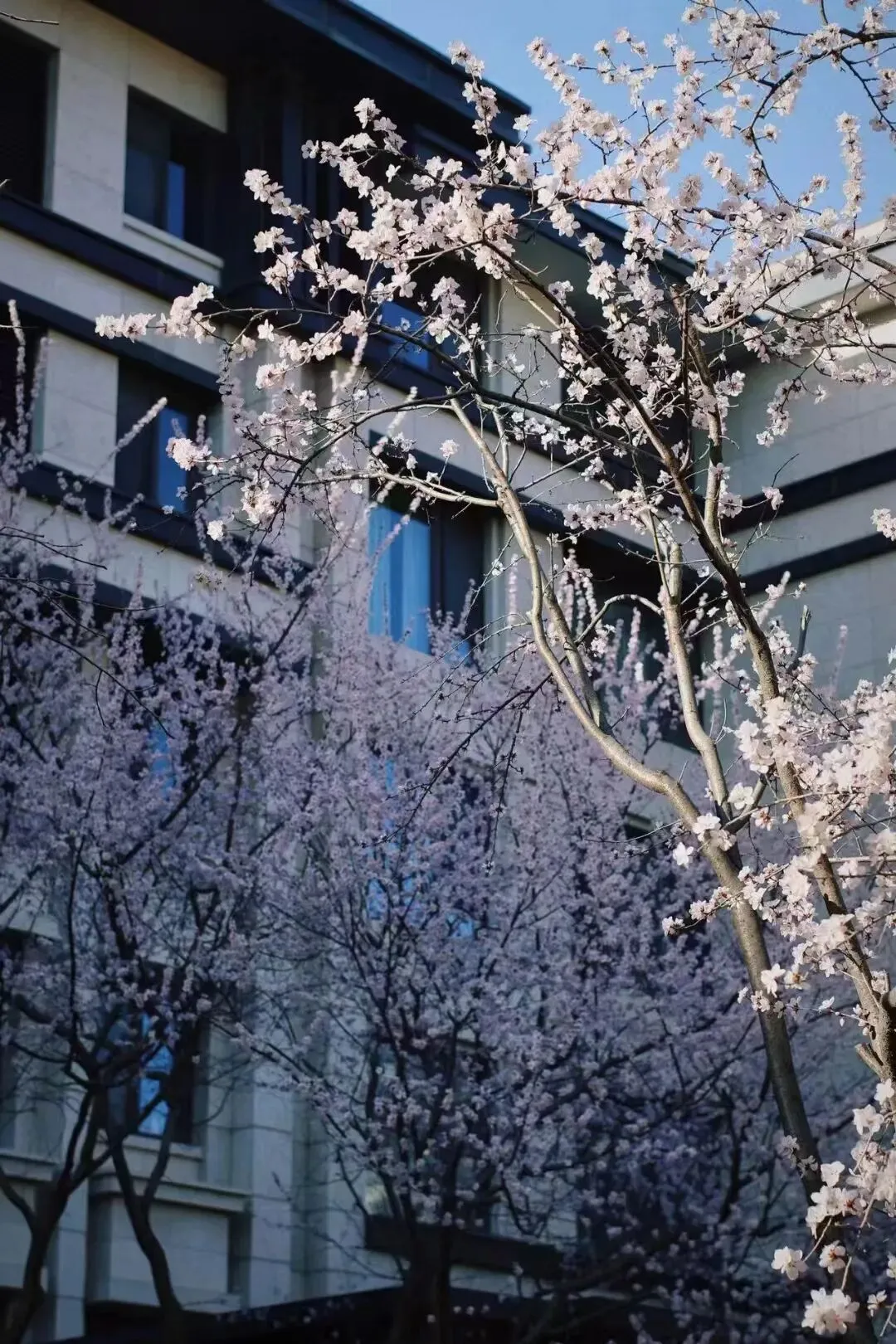 西山壹号院市场报告