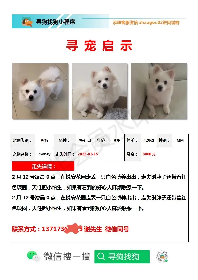 #大庆寻猫# 萨尔图区万峰大市场7号楼7门附近走失一只狸花猫,如有好心人看到或者收留请联系主人或本平台