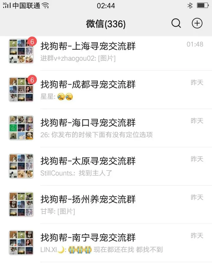 #大庆寻猫# 萨尔图区万峰大市场7号楼7门附近走失一只狸花猫,如有好心人看到或者收留请联系主人或本平台