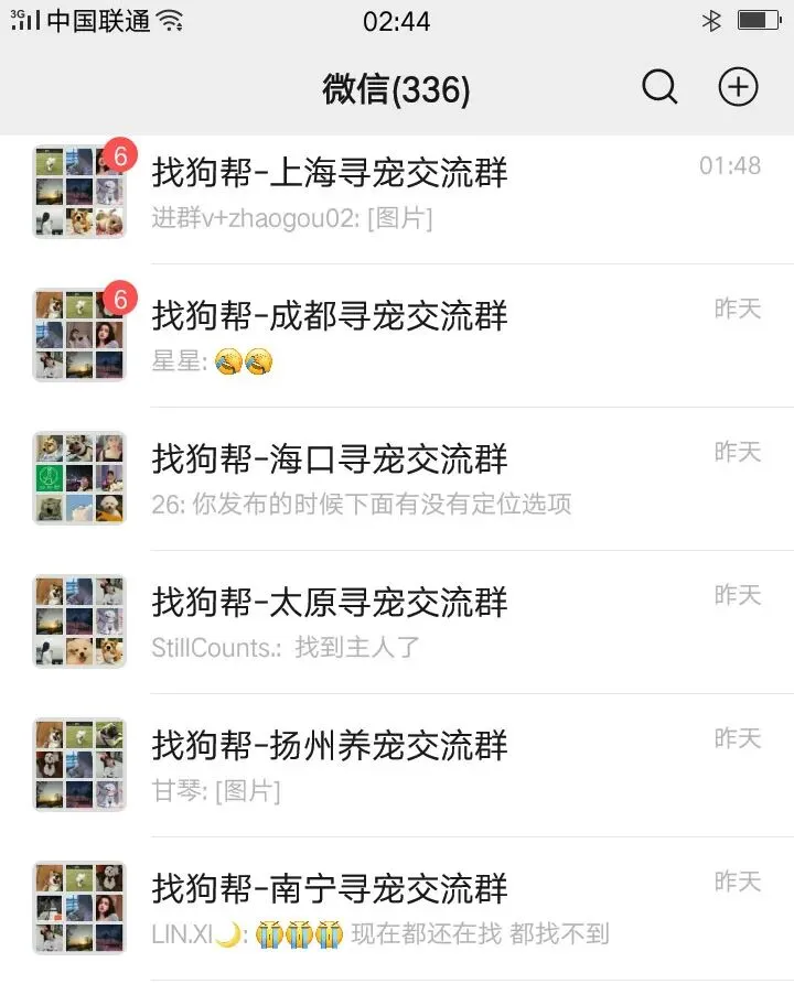 #大庆寻猫# 萨尔图区万峰大市场7号楼7门附近走失一只狸花猫,如有好心人看到或者收留请联系主人或本平台